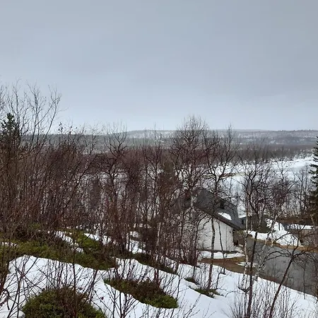 Napakettu *
