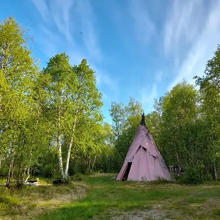 Napakettu Chalet *