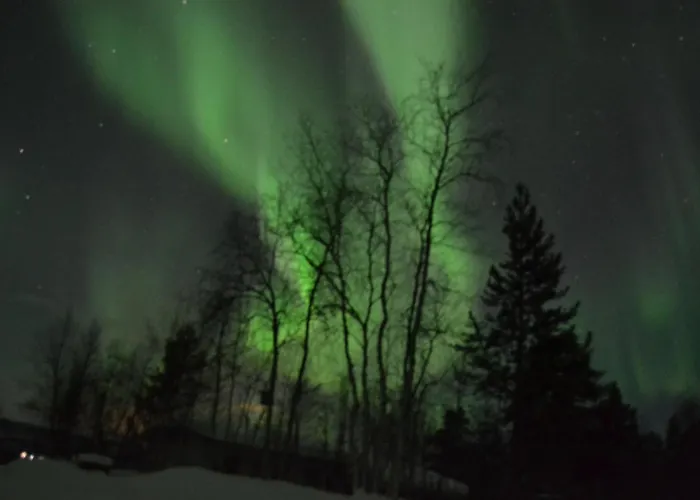 Napakettu Шале *